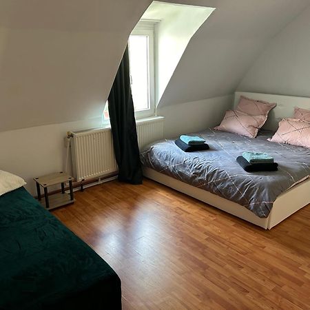 Bivolul Negru Apartman Balázsfalva Kültér fotó