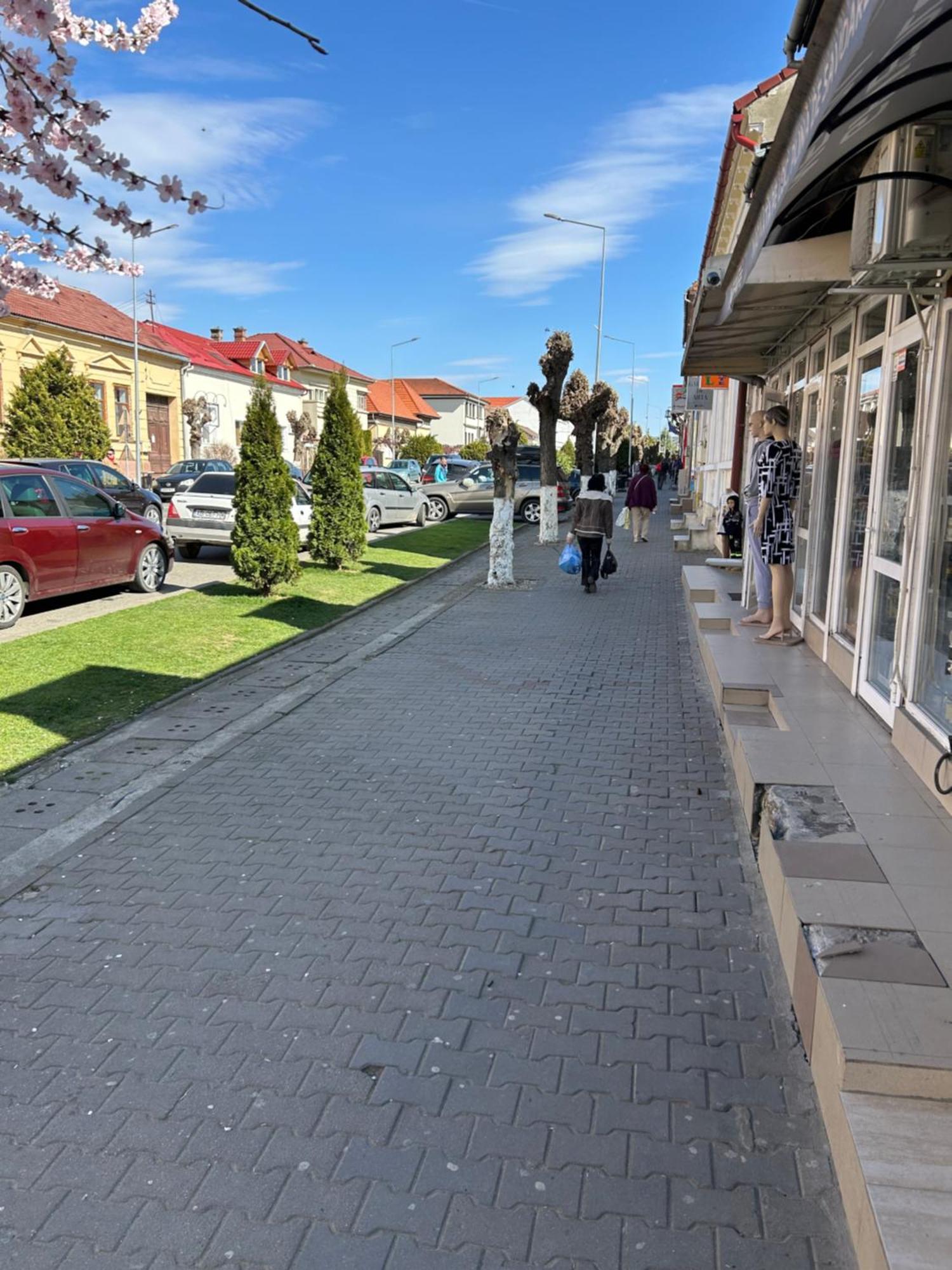 Bivolul Negru Apartman Balázsfalva Kültér fotó